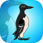 Icon of Guillemots Bird Escape