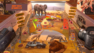 Safari Pinball Game Screenshot
