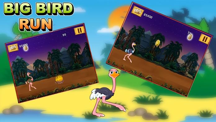 Big Bird Run - Ostrich's Crazy Jungle Splash (Free Game) android iOS ...