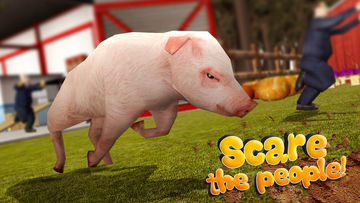Pig Simulator 2015 Game Screenshot