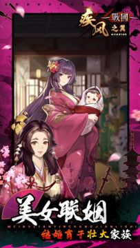 疾风之翼 Game Screenshot