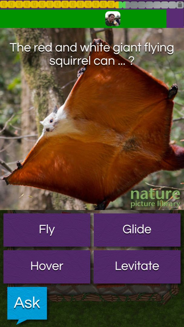 QuizTix: Animal Pics Trivia - Nature Image Library screenshot game