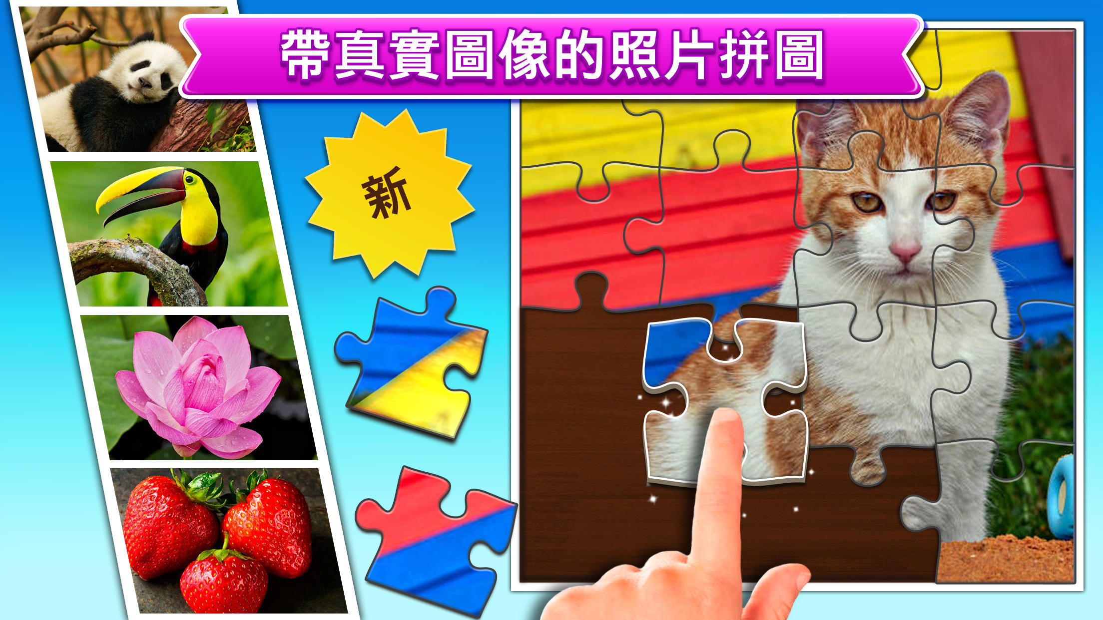 适合孩子的拼图游戏 遊戲截圖