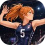 Icon of Volley Girls:High School Story