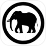 Icon of Elephant Chess