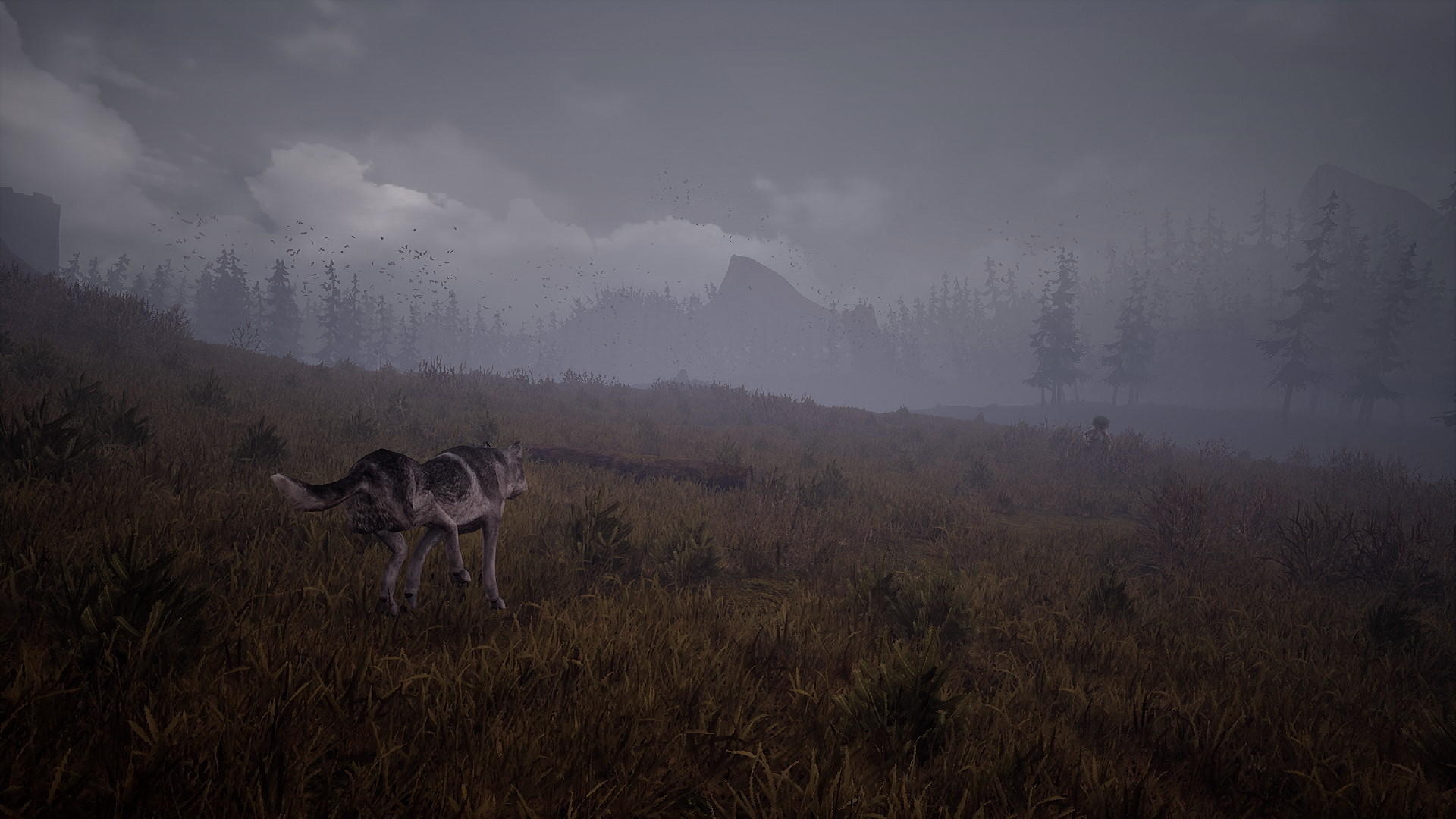 Wandering Wolf ภาพหน้าจอเกม