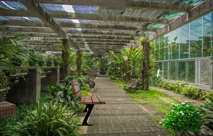 Escape Game Challenge - Garden Game Screenshot
