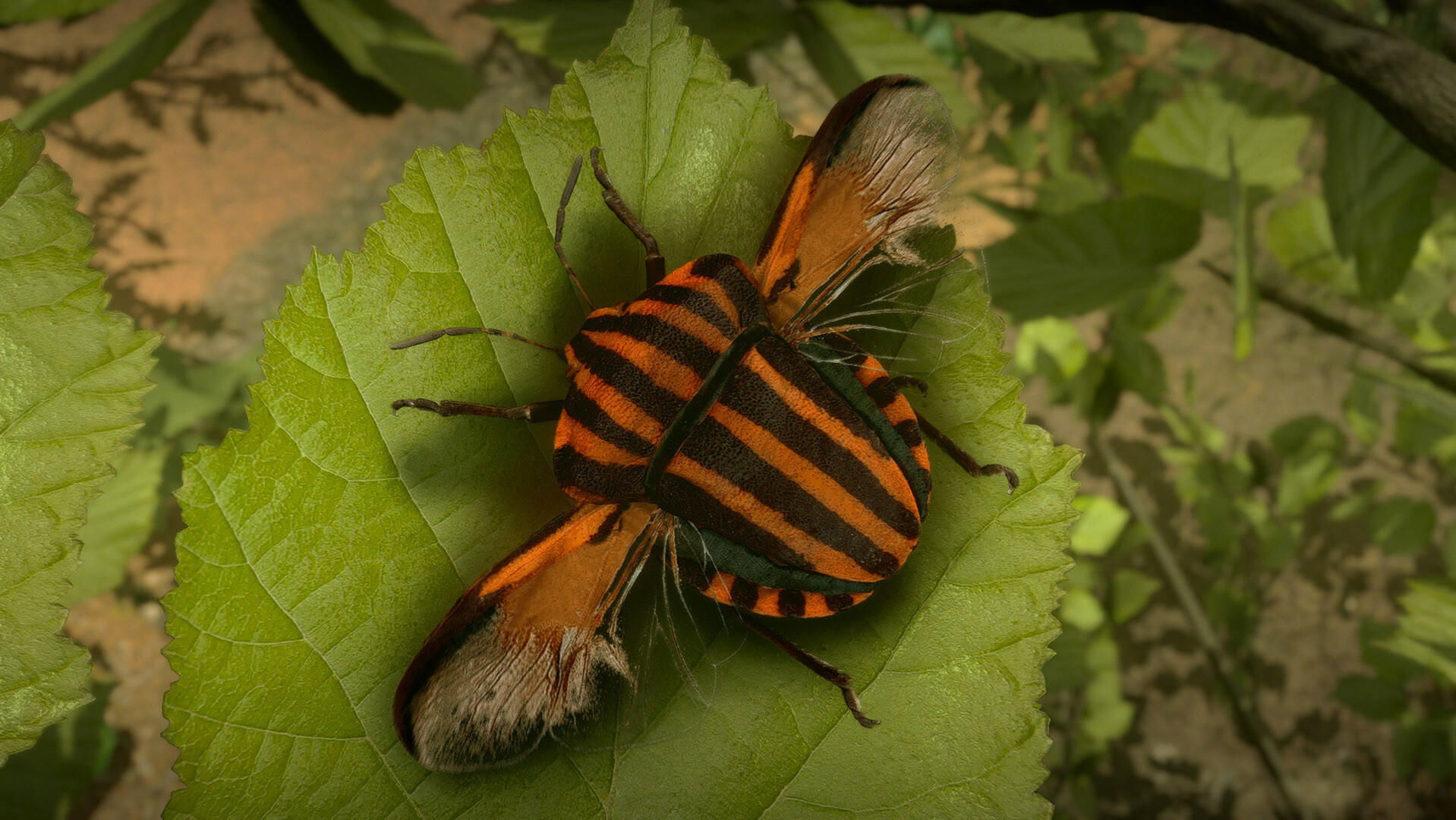 Insect Worlds screenshot game