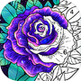 Coloring Book: Color by Number