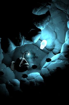 Seashine 遊戲截圖