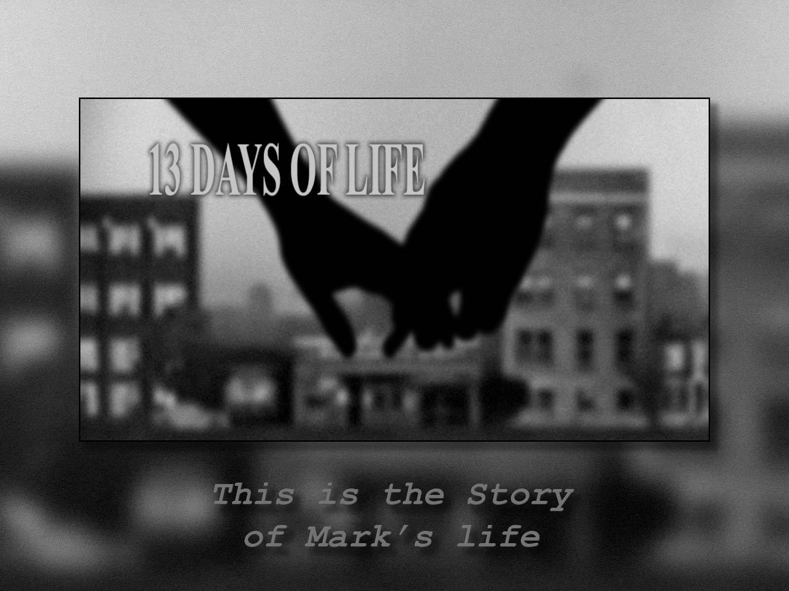 13 DAYS OF LIFE Game Screenshot