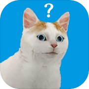 Escape Game Cat's Perspective!