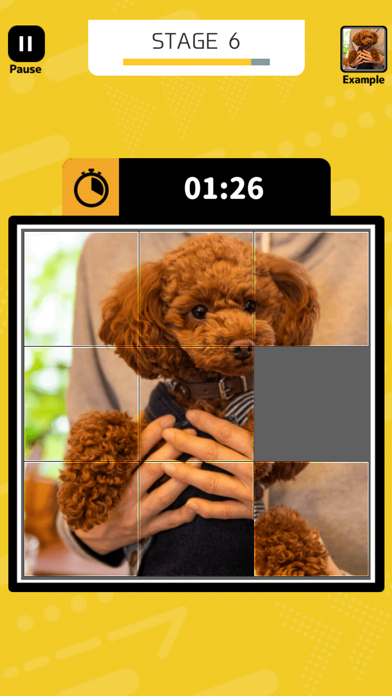 SHIFT PUZZLES Game Screenshot