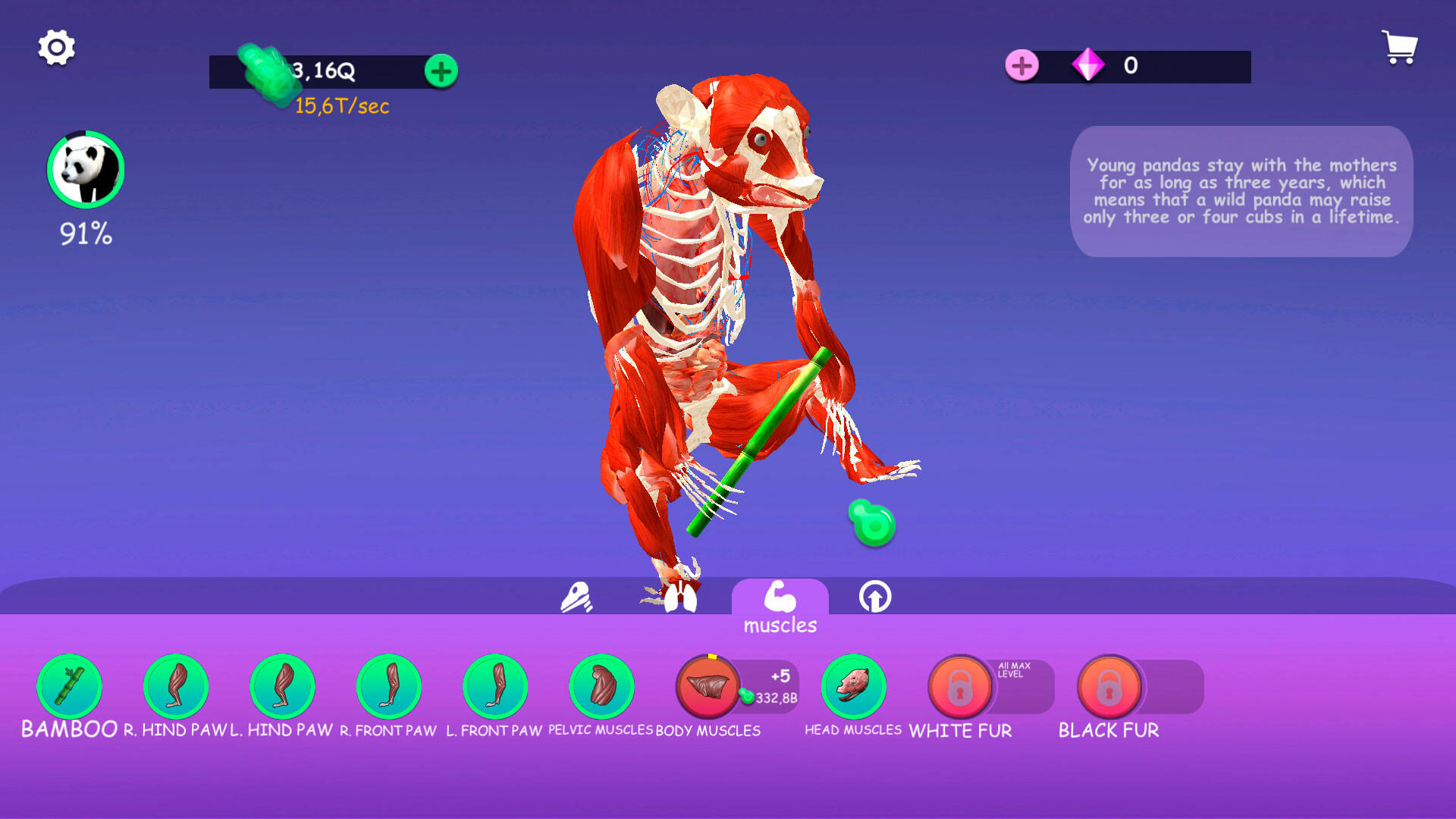IDLE Animal Anatomy screenshot game