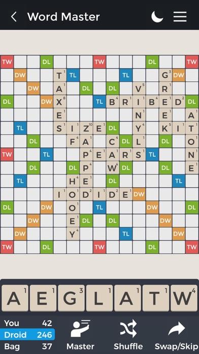 Word Master - Pro Game Screenshot
