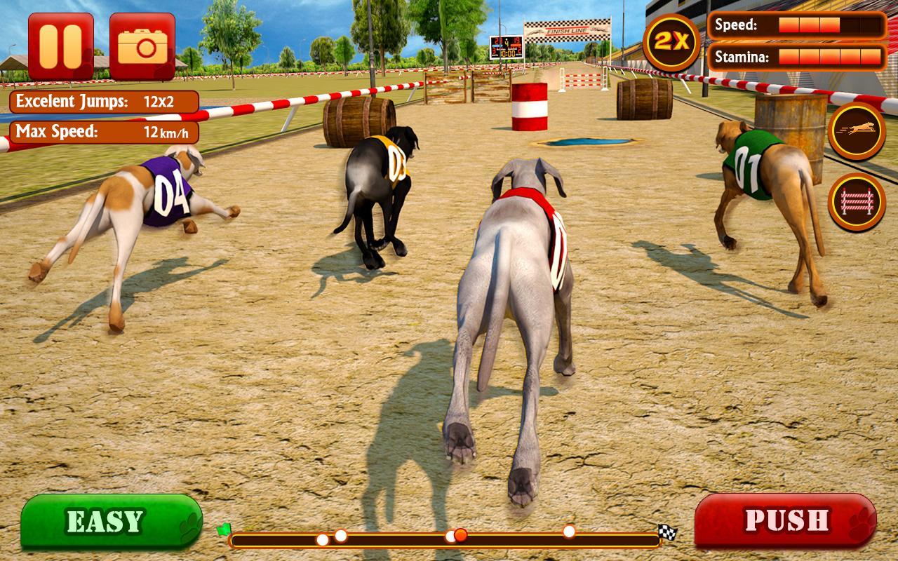 Dog Race & Stunts 2016 Game Screenshot