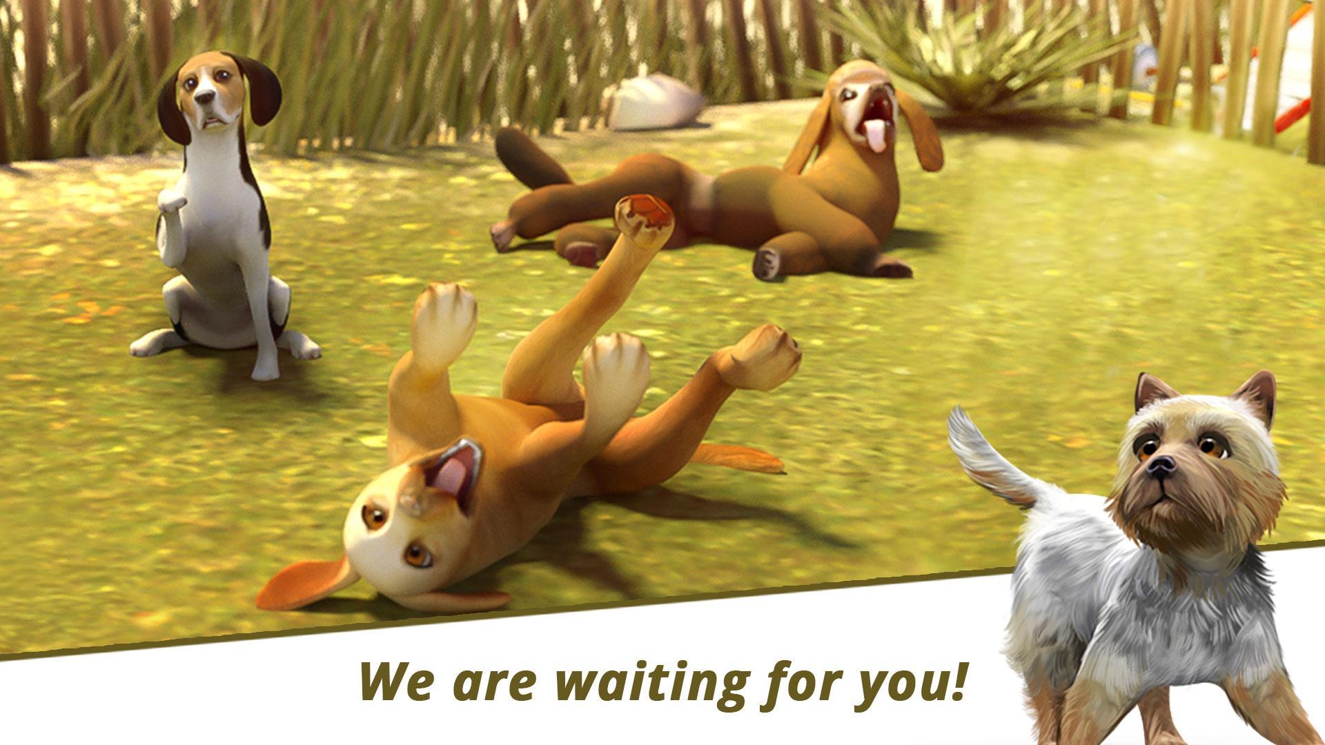 Dog Hotel – Play with dogs Game Screenshot