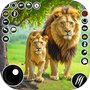 Icon of Lion Simulator Animal Games 3D