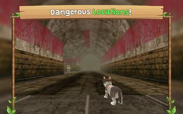 Cat Sim Online: Play with Cats 遊戲截圖