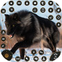 Icon of Wolf Games Animal Sim Games
