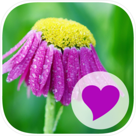 400 Exceptional Words