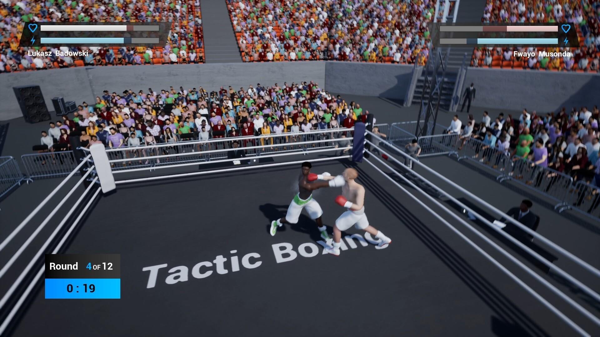 Tactic Boxing screenshot game