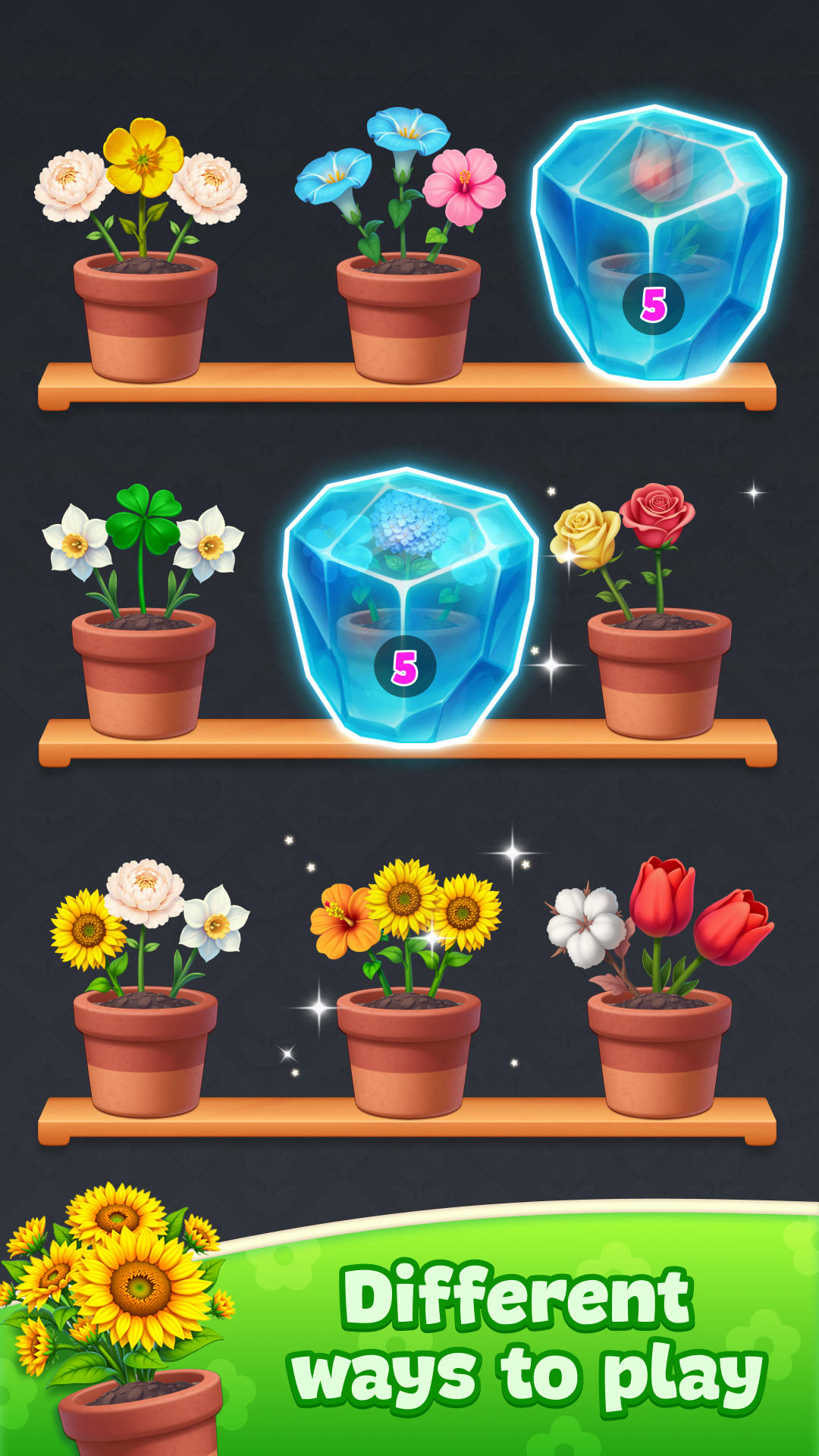 Flower Group Game Screenshot
