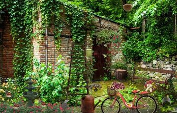 Escape Games - Natural Park Game Screenshot