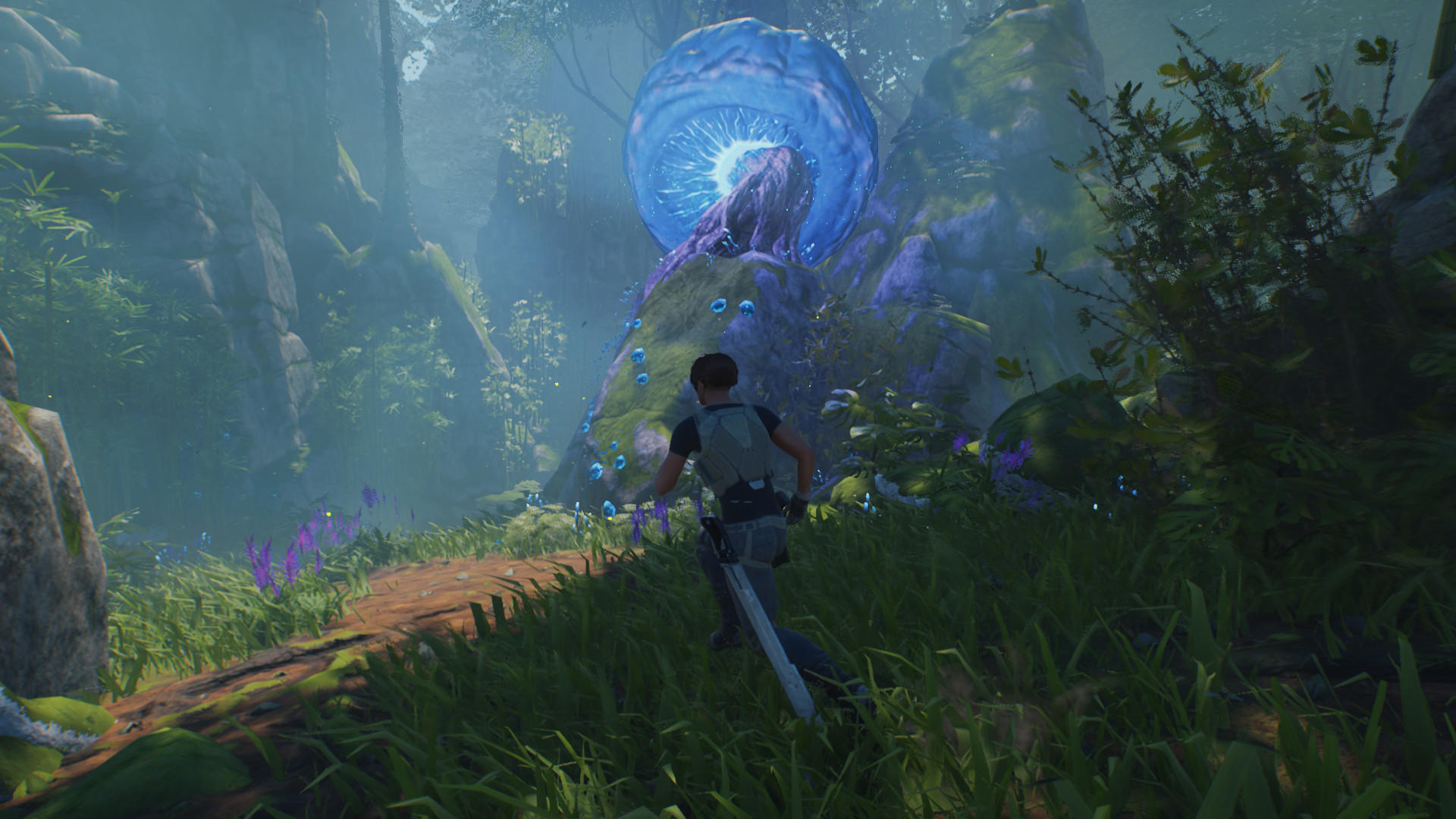 Screenshot of Wild Life