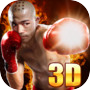 Icon of 真实拳击对决