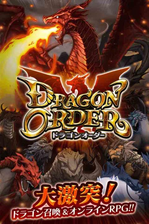 Screenshot 1 of dragon order 
