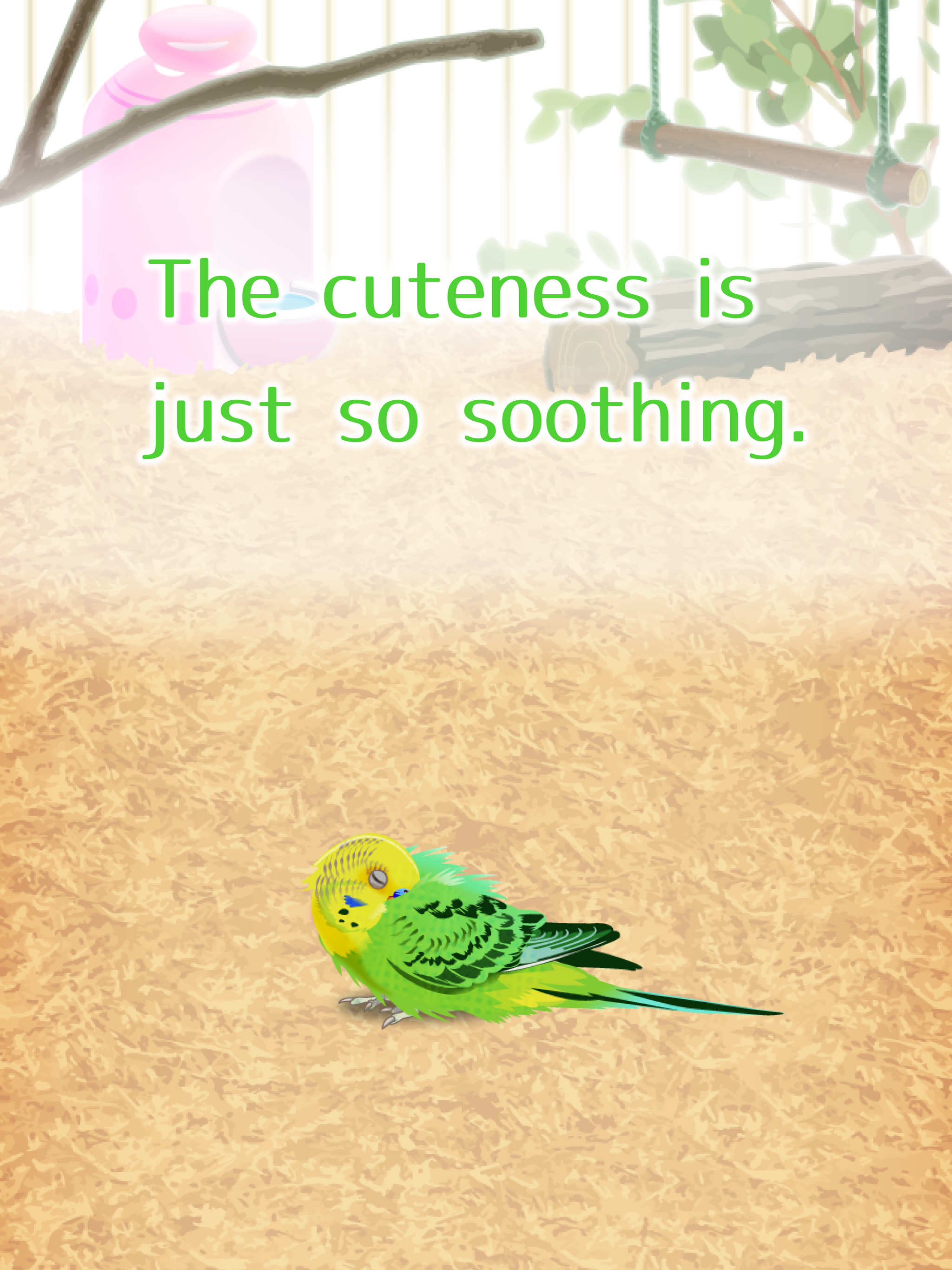 Скриншот игры Parakeet Pet