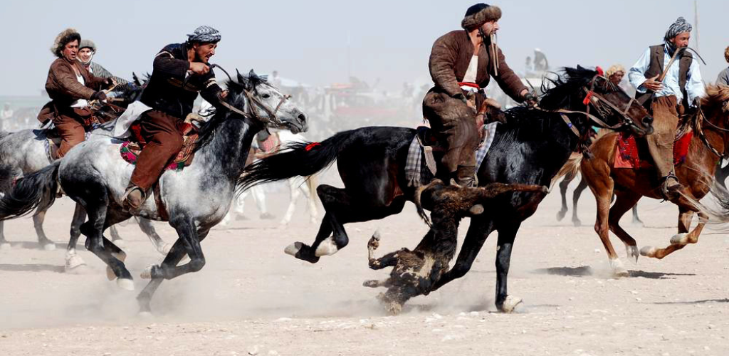 Banner of Buzkashi & Kupkari 