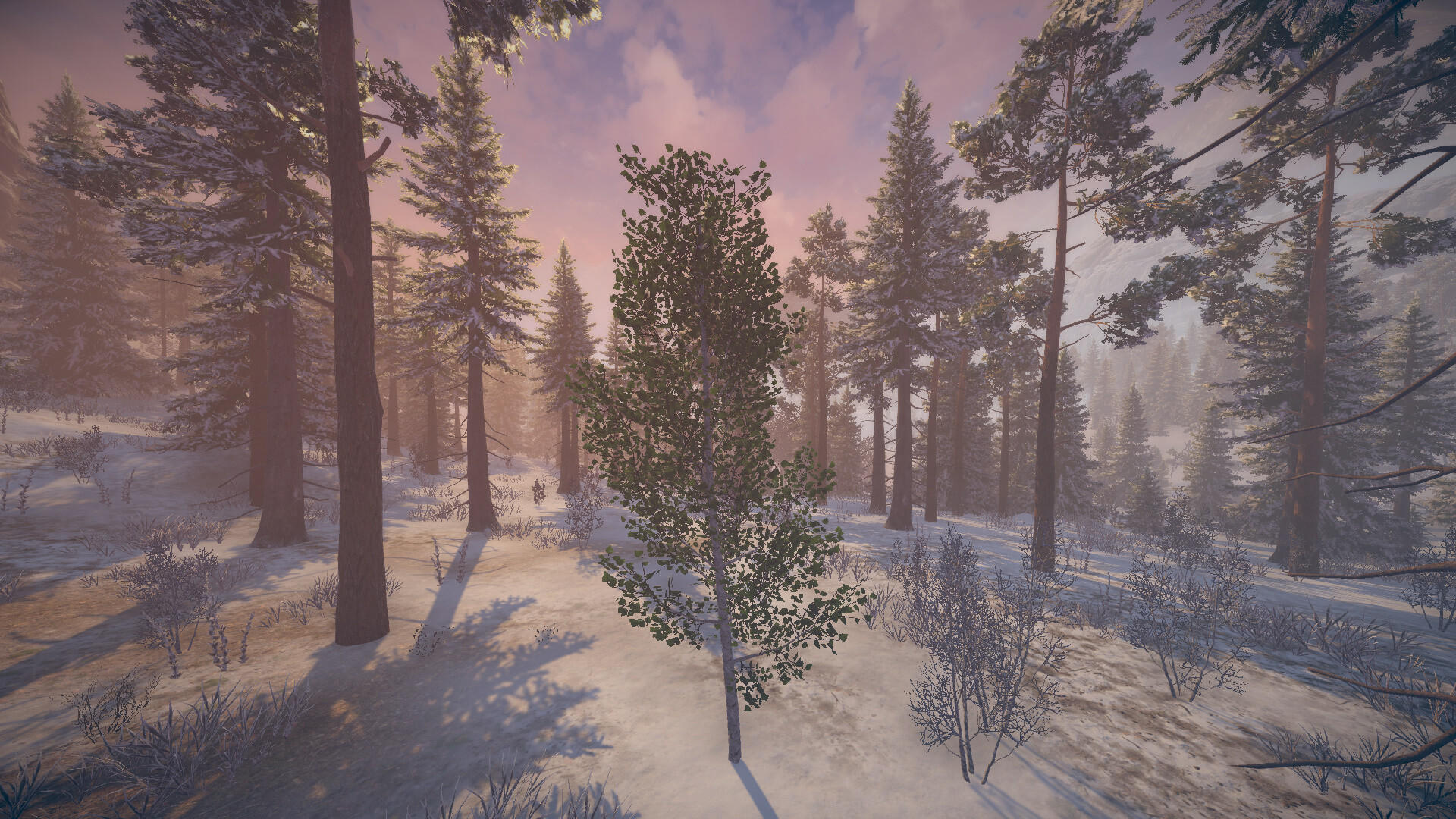 Screenshot of Birch Simulator