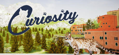 Banner of Curiosity 