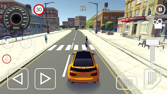 Screenshot of Driving School Simulator 2020