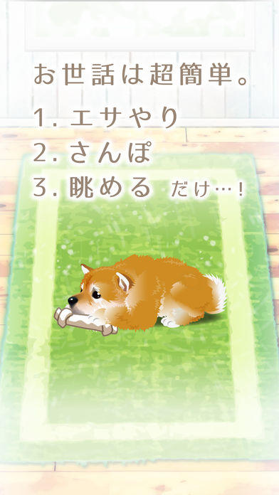 My Dog Life -Japanese Shiba Inu Edition- Game Screenshot