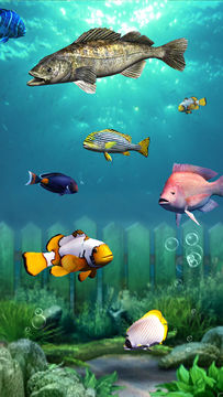 钓鱼梦想之旅 Game Screenshot