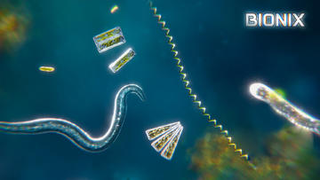 Banner of Bionix: Spore Evolution Sim 3D 