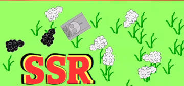 Banner of SSR 