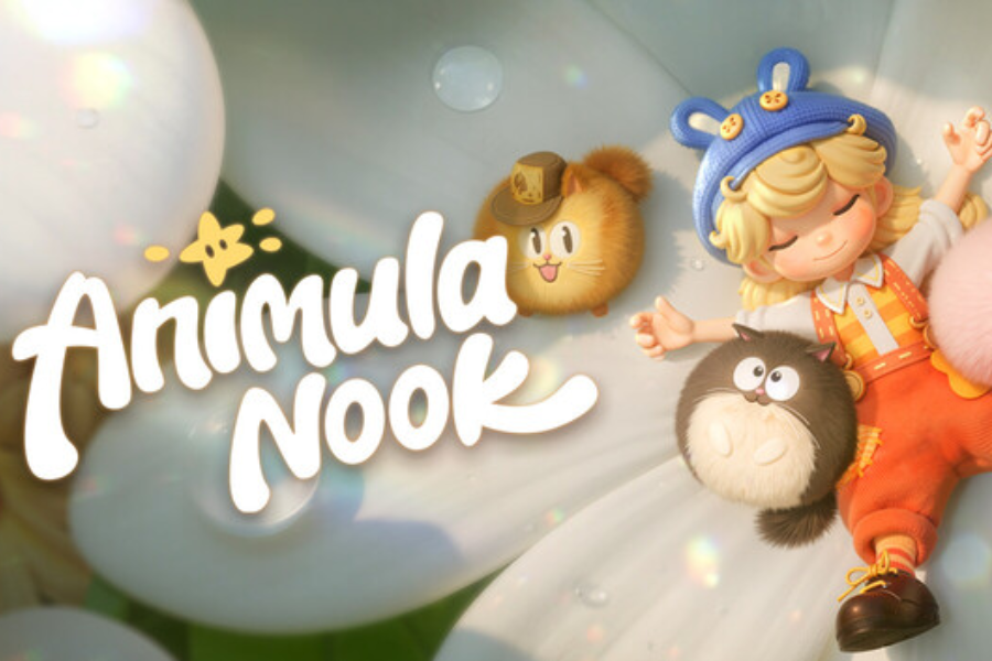 Screenshot of the video of Animula Nook