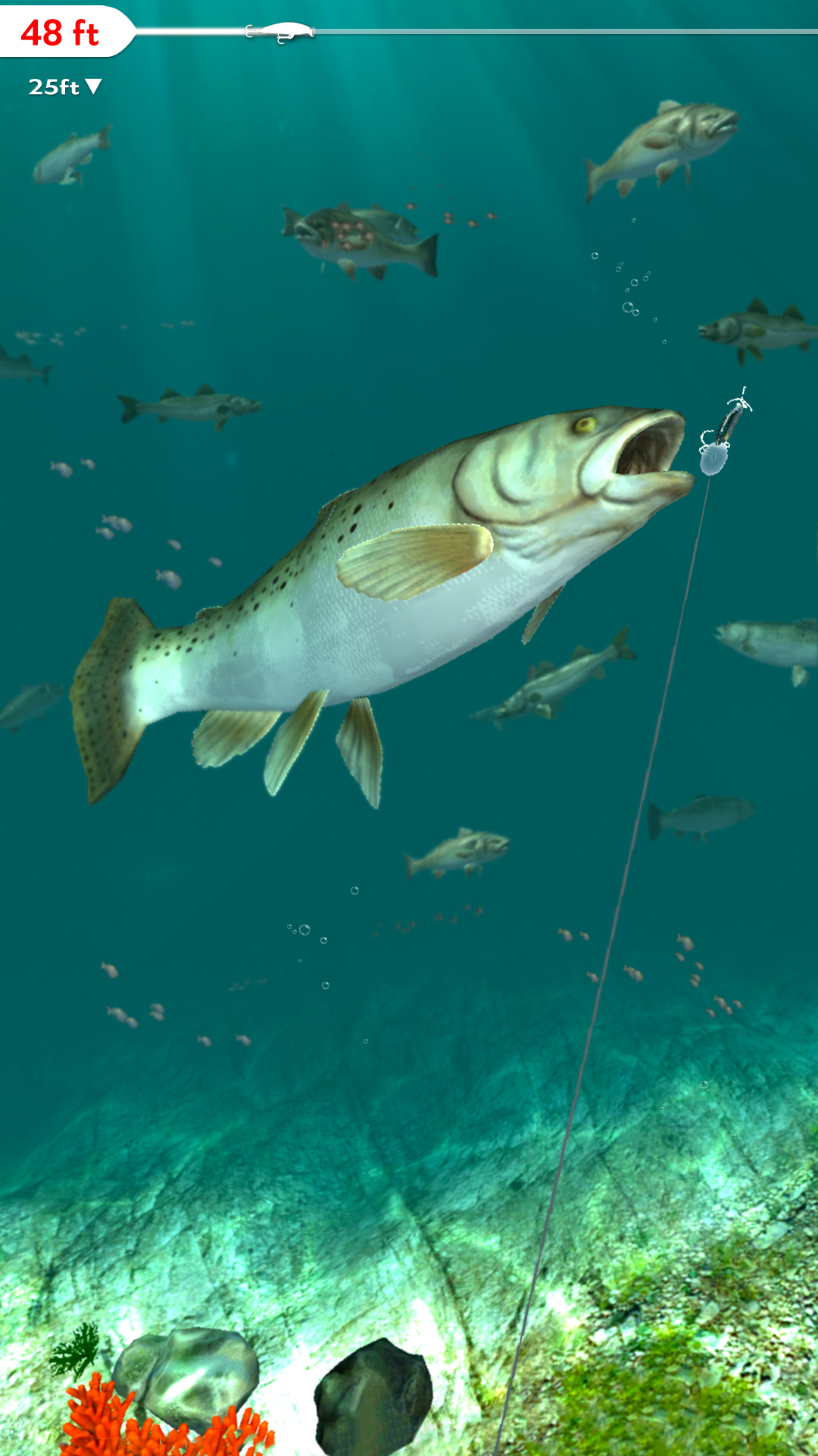 Rapala Fishing - Daily Catch Game Screenshot