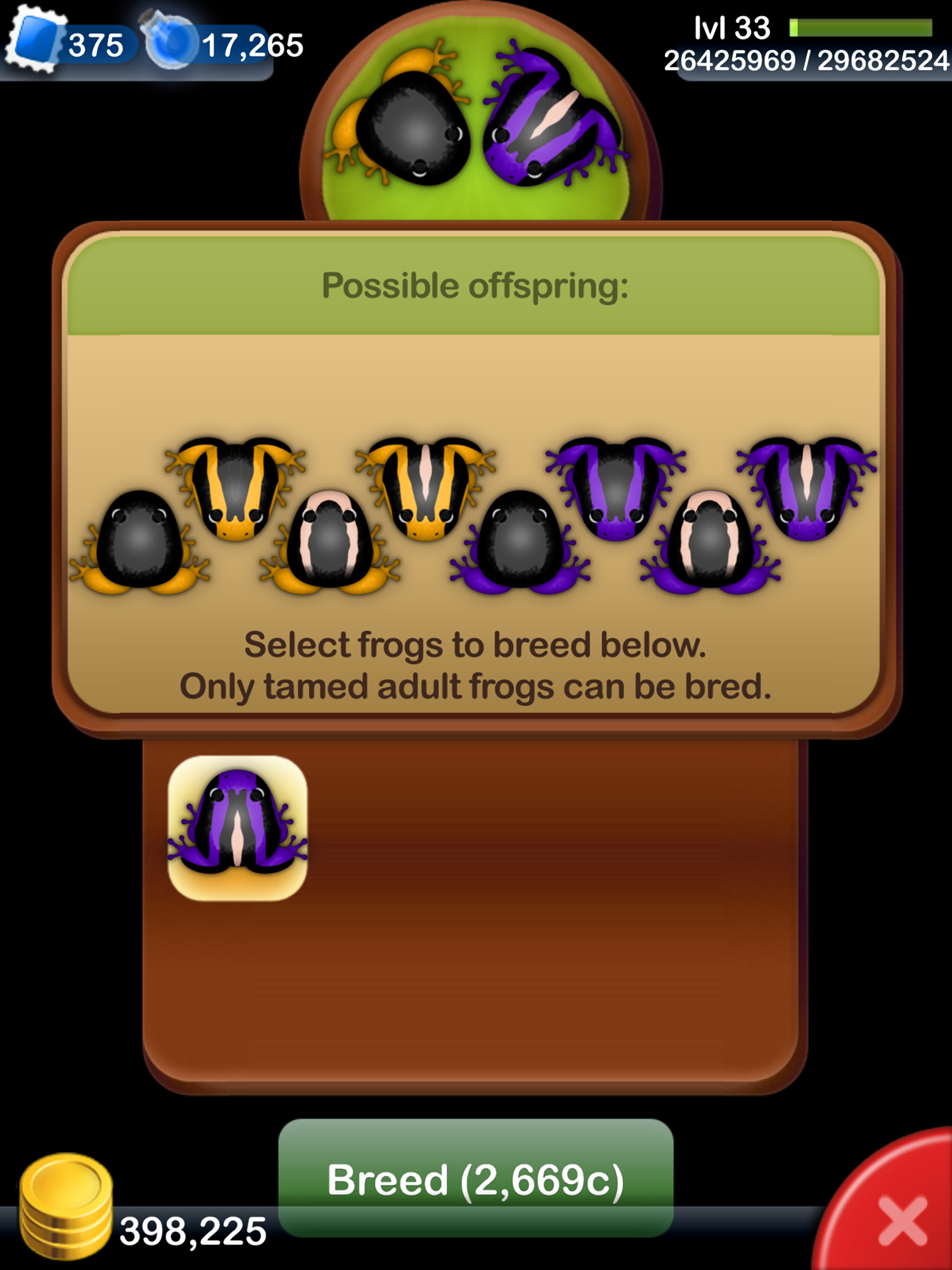Pocket Frogs: Tiny Pond Keeper Game Screenshot