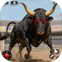 Icon of Bull Fighting Games-Angry Bull