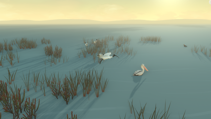 Storm Boy Game Screenshot