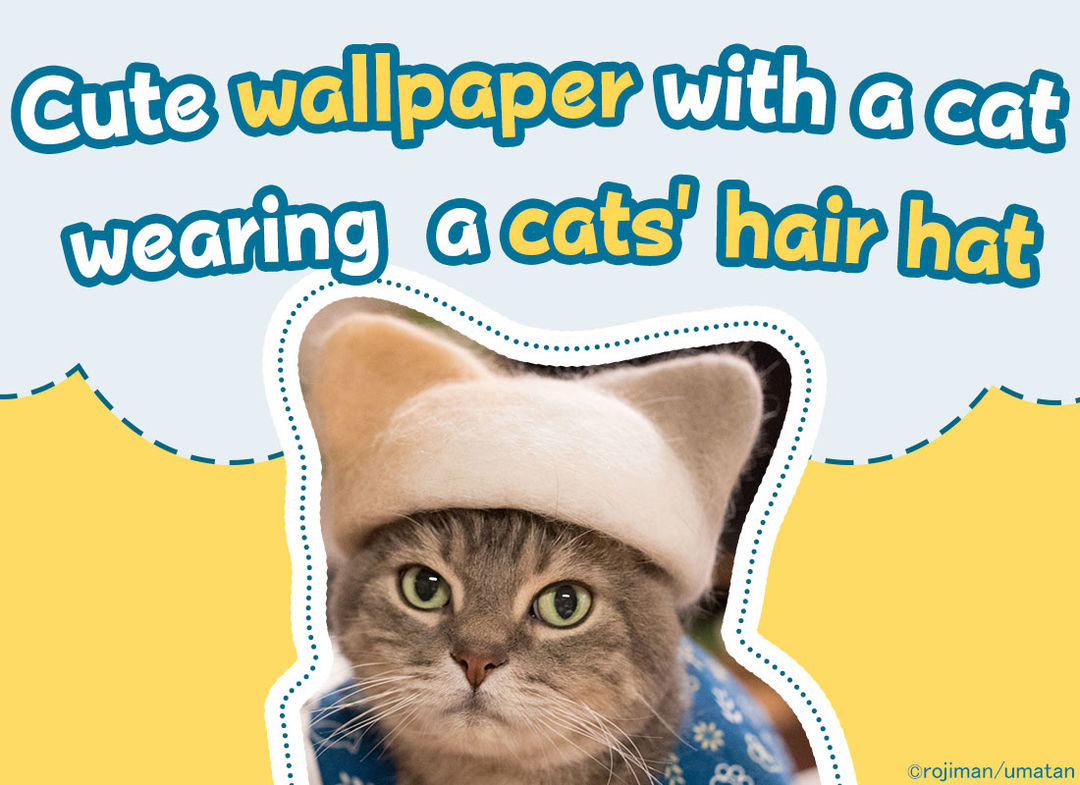 Screenshot of Wallpaper: Cats' Hair Hats