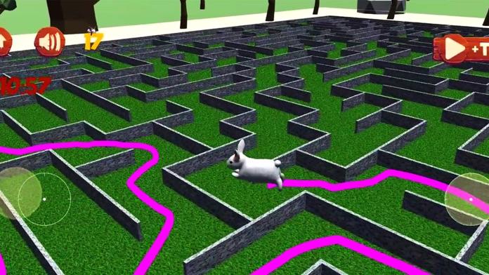 Roblox Gameplay - Escape Maze 