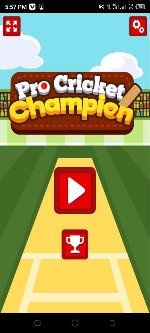 Pro Cricket Champion Game Screenshot