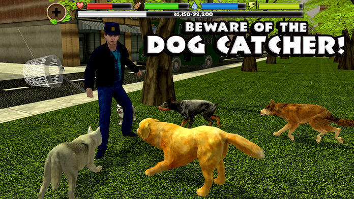 Stray Dog Simulator android iOS apk download for free-TapTap