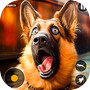 Icon of Wild Dog Pet Game Simulator 3d